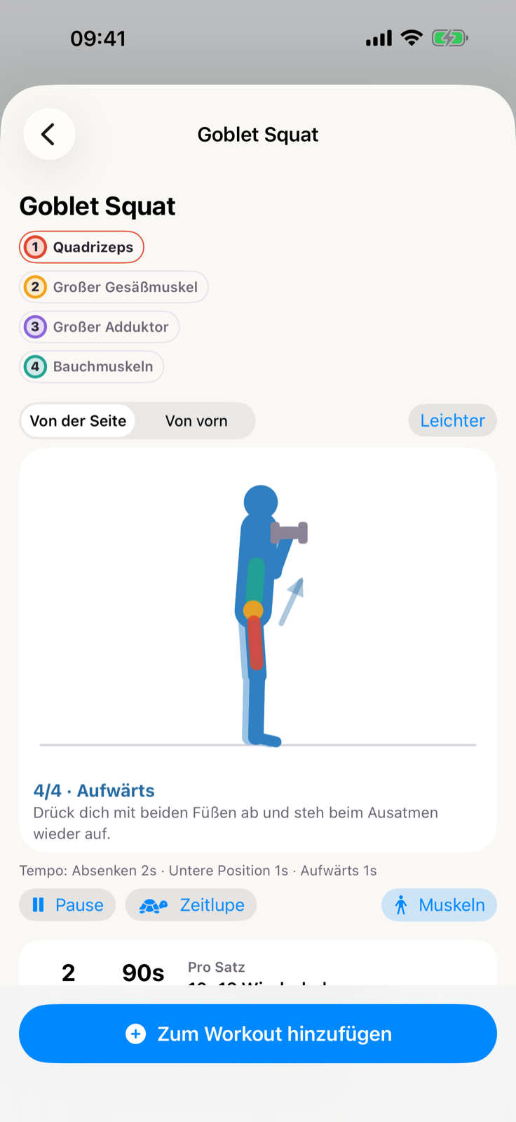 Animation einer Kniebeuge und der trainierten Muskelbereiche