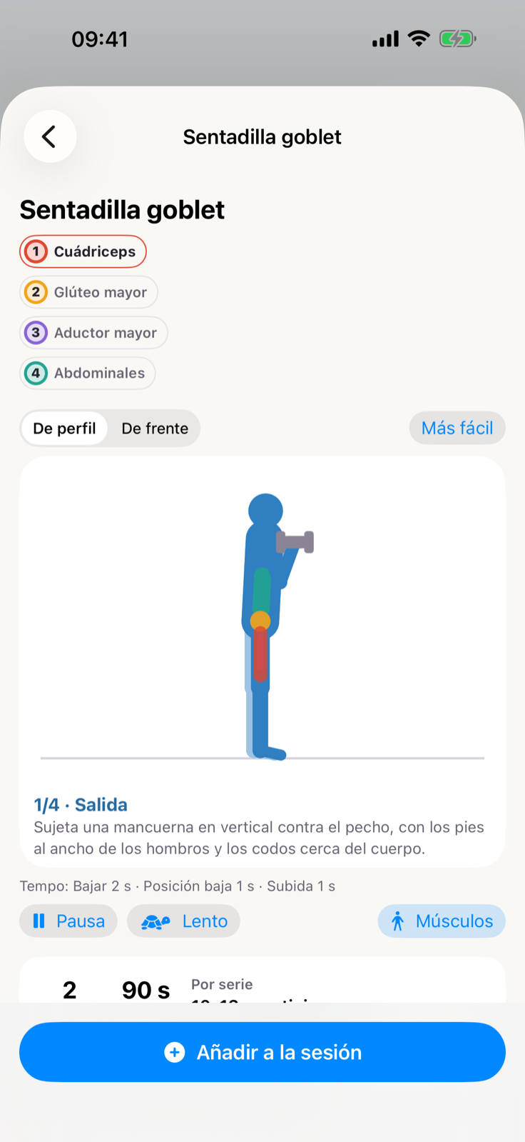 Animación de una sentadilla y zonas musculares trabajadas