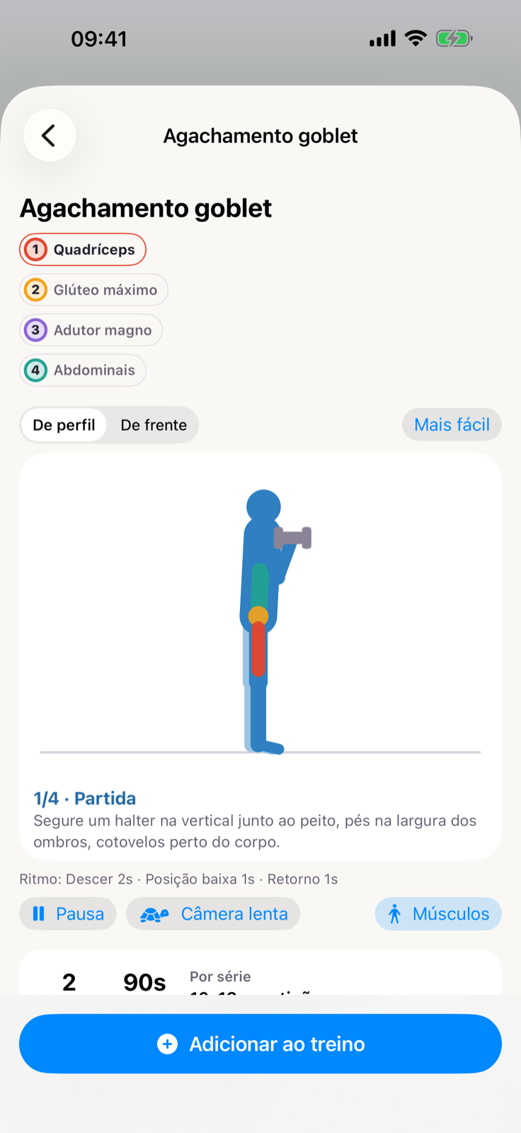 Animação de um agachamento e grupos musculares trabalhados
