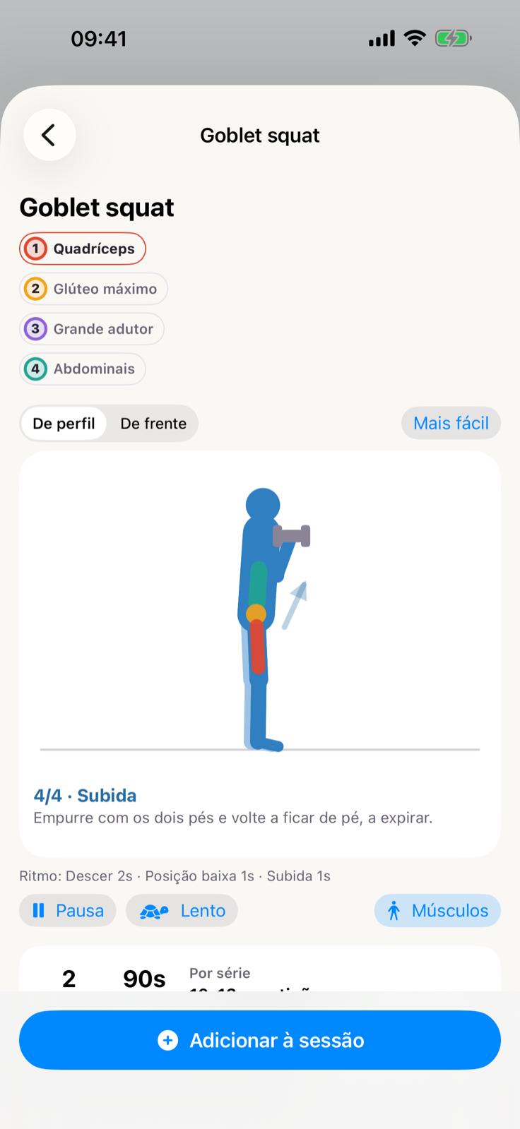Animação de um agachamento e zonas musculares trabalhadas