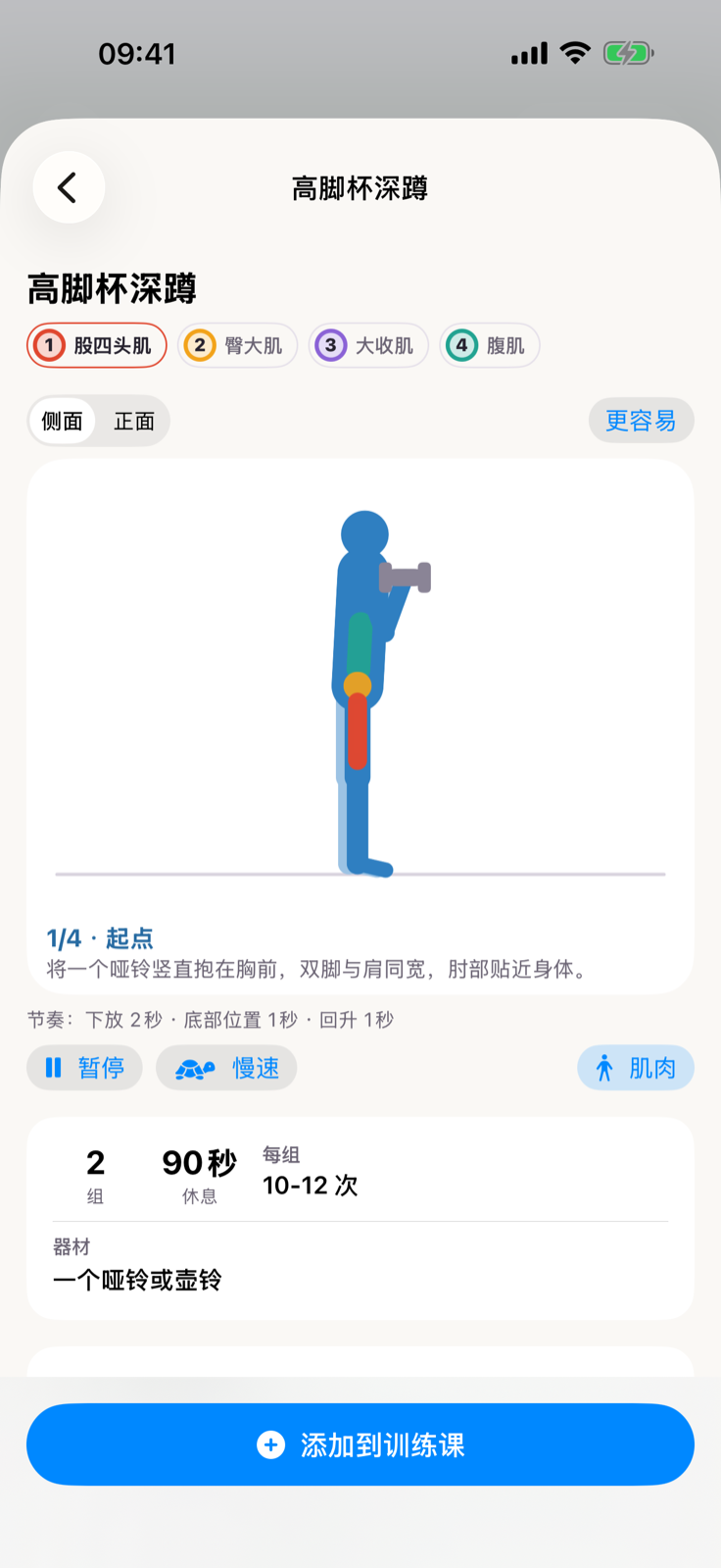 深蹲动画及锻炼的肌肉部位